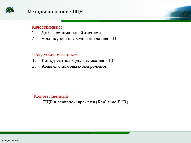 Методы на основе ПЦР Количественный: ПЦР в реальном времени (Real-time PCR)   